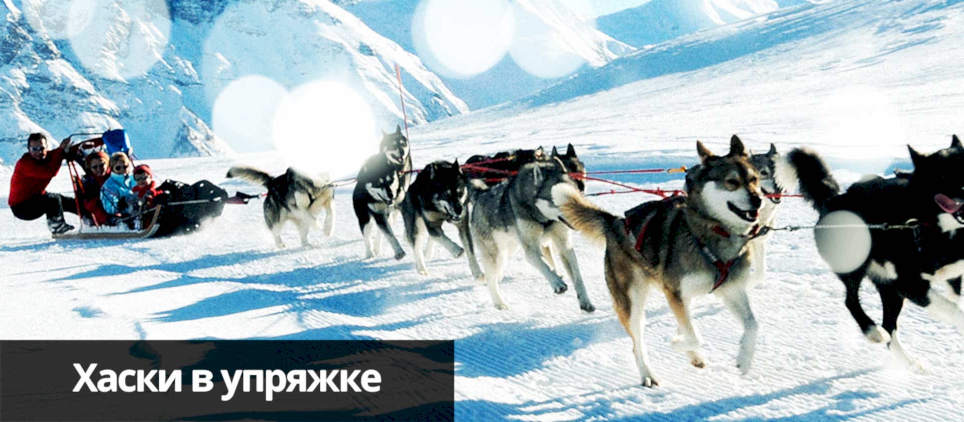 Хаски такси